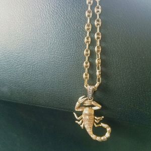 Meet your Posher, Andre